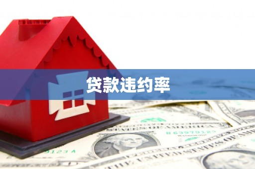 潜山贷款违约率