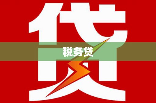 潜山税务贷