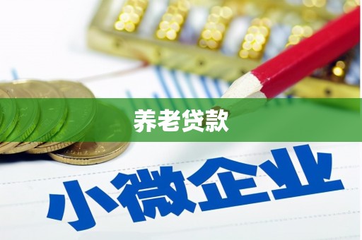 潜山养老贷款