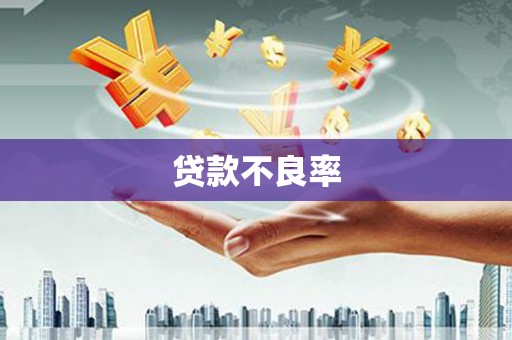 潜山贷款不良率