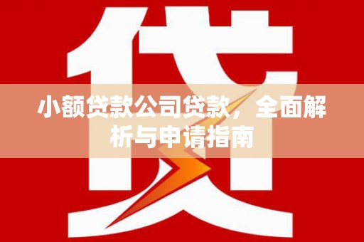 潜山小额贷款公司贷款，全面解析与申请指南