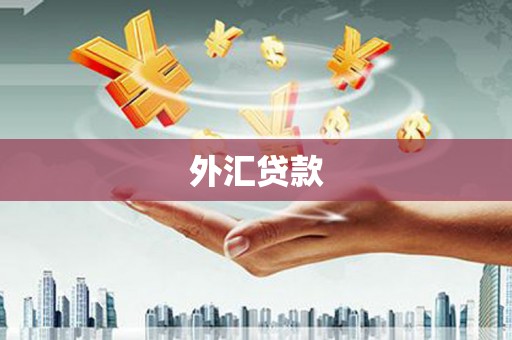 潜山外汇贷款