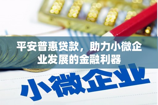潜山平安普惠贷款，助力小微企业发展的金融利器
