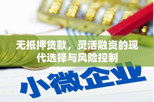 潜山无抵押贷款，灵活融资的现代选择与风险控制