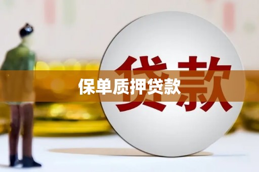 潜山保单质押贷款