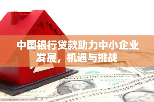潜山中国银行贷款助力中小企业发展，机遇与挑战