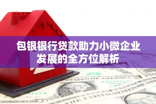 潜山包银银行贷款助力小微企业发展的全方位解析