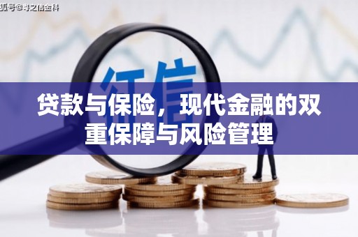 潜山贷款与保险，现代金融的双重保障与风险管理