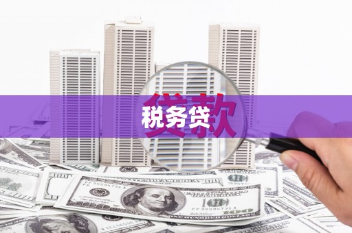 潜山税务贷