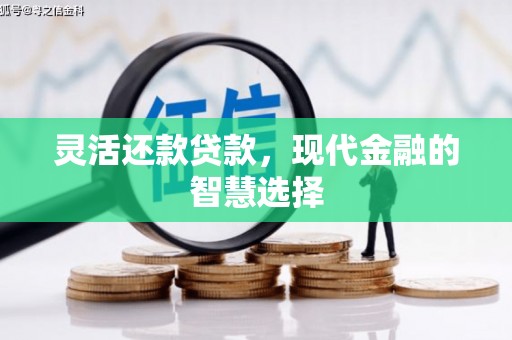 潜山灵活还款贷款，现代金融的智慧选择