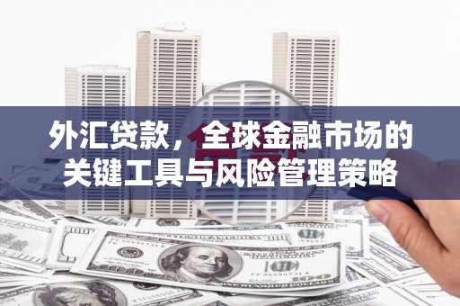潜山外汇贷款，全球金融市场的关键工具与风险管理策略