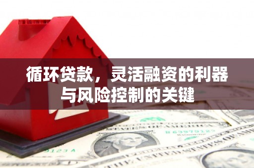 潜山循环贷款，灵活融资的利器与风险控制的关键