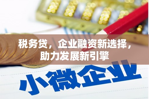 潜山税务贷，企业融资新选择，助力发展新引擎