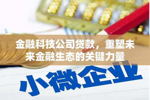 潜山金融科技公司贷款，重塑未来金融生态的关键力量