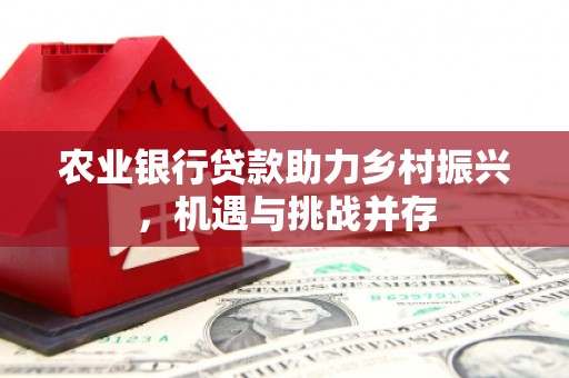 潜山农业银行贷款助力乡村振兴，机遇与挑战并存
