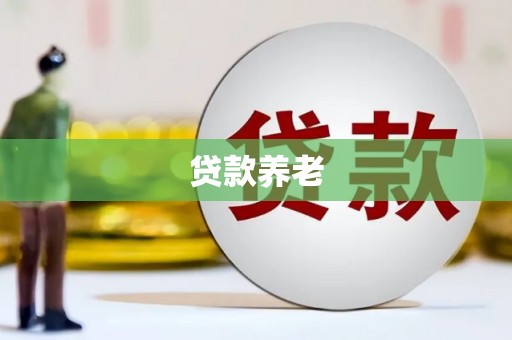 潜山贷款养老