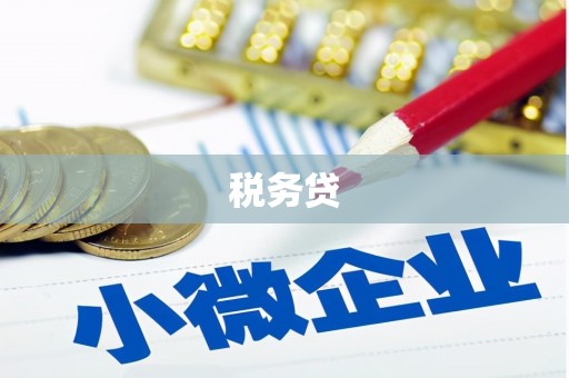 潜山税务贷
