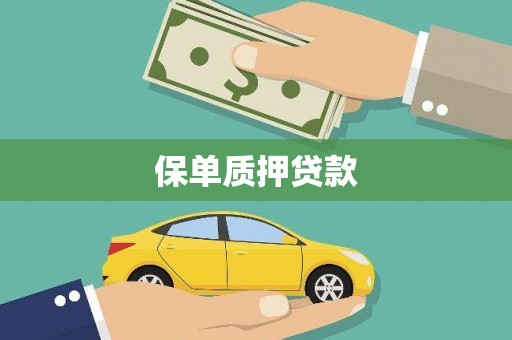 潜山保单质押贷款