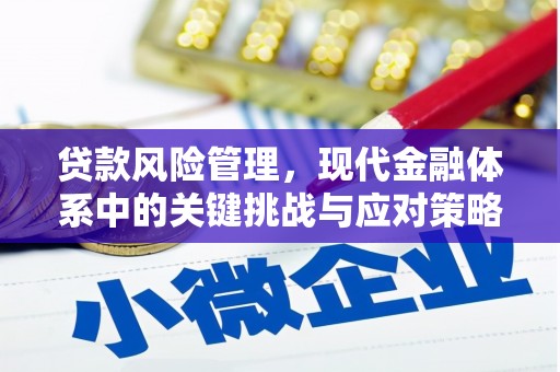 潜山贷款风险管理，现代金融体系中的关键挑战与应对策略