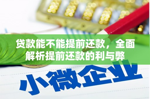 潜山贷款能不能提前还款，全面解析提前还款的利与弊