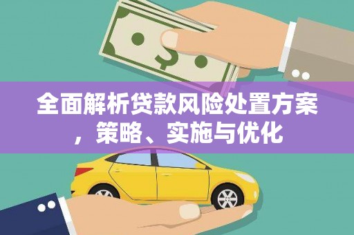 潜山全面解析贷款风险处置方案，策略、实施与优化