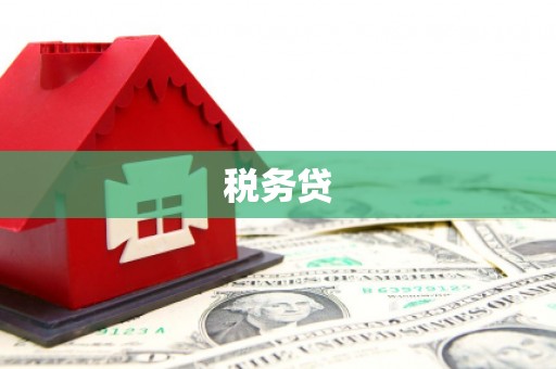 潜山税务贷
