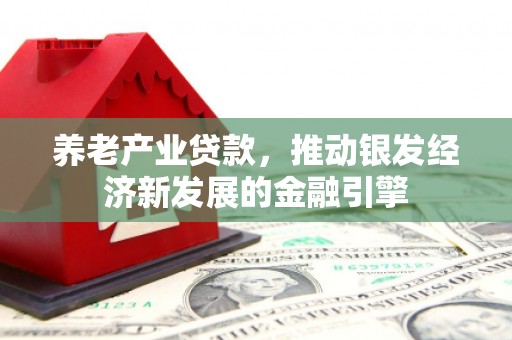 潜山养老产业贷款，推动银发经济新发展的金融引擎
