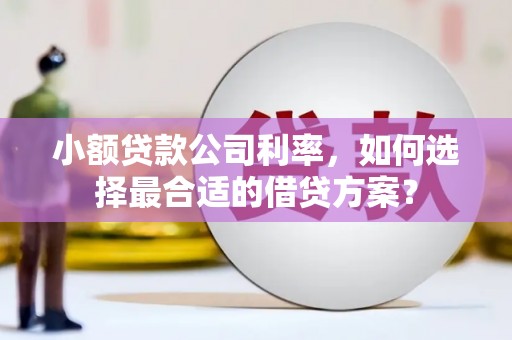 潜山小额贷款公司利率，如何选择最合适的借贷方案？