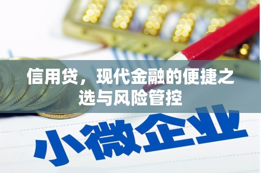 潜山信用贷，现代金融的便捷之选与风险管控