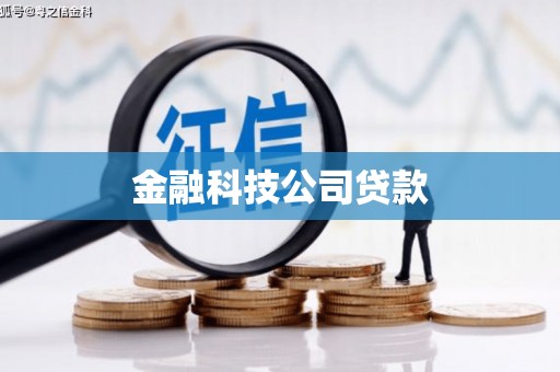 潜山金融科技公司贷款