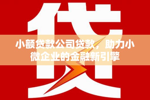 潜山小额贷款公司贷款，助力小微企业的金融新引擎