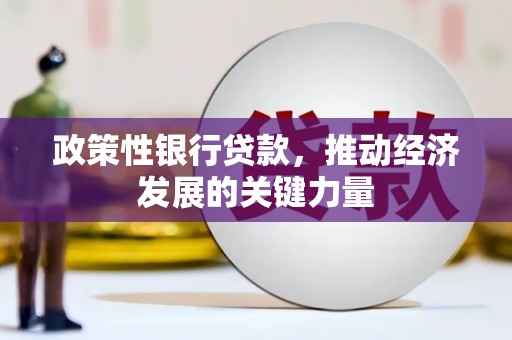 潜山政策性银行贷款，推动经济发展的关键力量