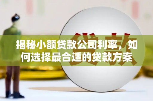 潜山揭秘小额贷款公司利率，如何选择最合适的贷款方案