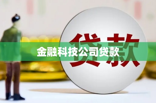 潜山金融科技公司贷款