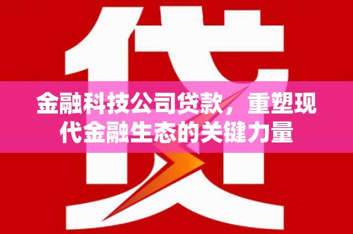 潜山金融科技公司贷款，重塑现代金融生态的关键力量