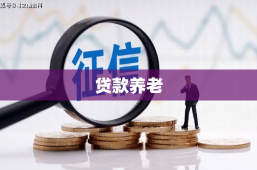 潜山贷款养老