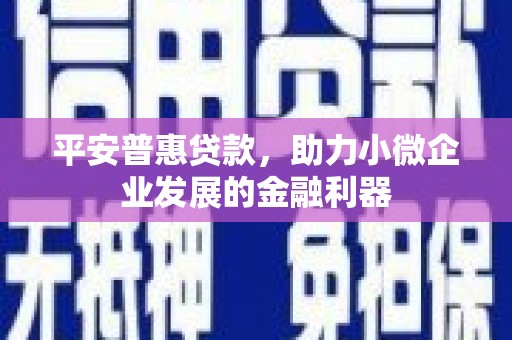 潜山平安普惠贷款，助力小微企业发展的金融利器