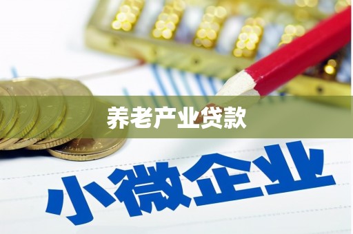 潜山养老产业贷款