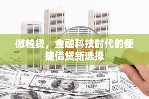 潜山微粒贷，金融科技时代的便捷借贷新选择
