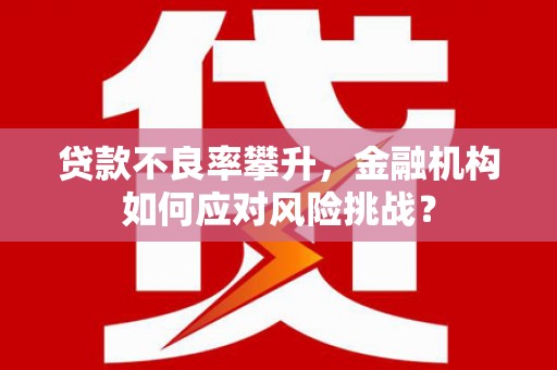潜山贷款不良率攀升，金融机构如何应对风险挑战？