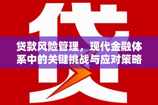 潜山贷款风险管理，现代金融体系中的关键挑战与应对策略