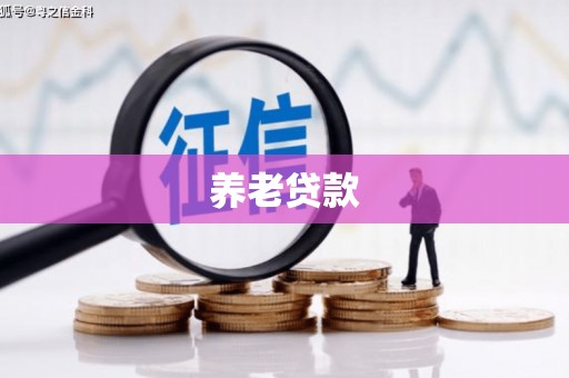 潜山养老贷款