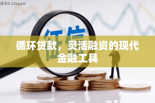 潜山循环贷款，灵活融资的现代金融工具
