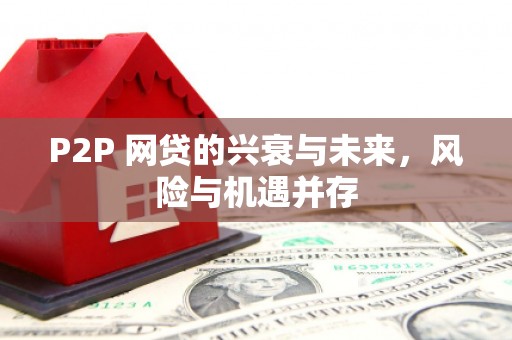 潜山P2P 网贷的兴衰与未来，风险与机遇并存