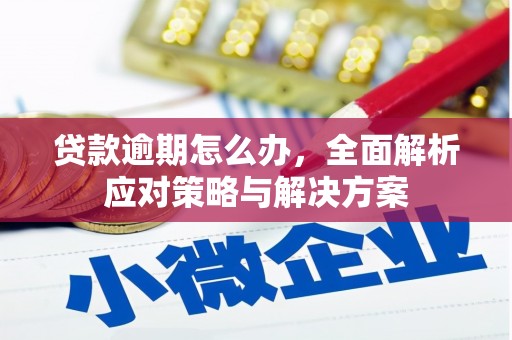 潜山贷款逾期怎么办，全面解析应对策略与解决方案