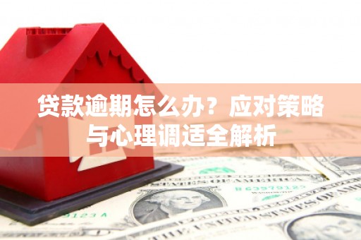 潜山贷款逾期怎么办？应对策略与心理调适全解析
