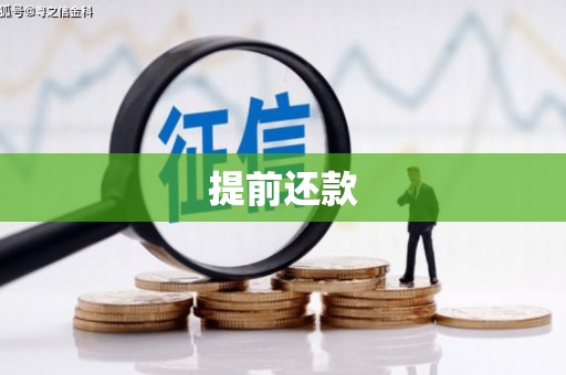潜山提前还款